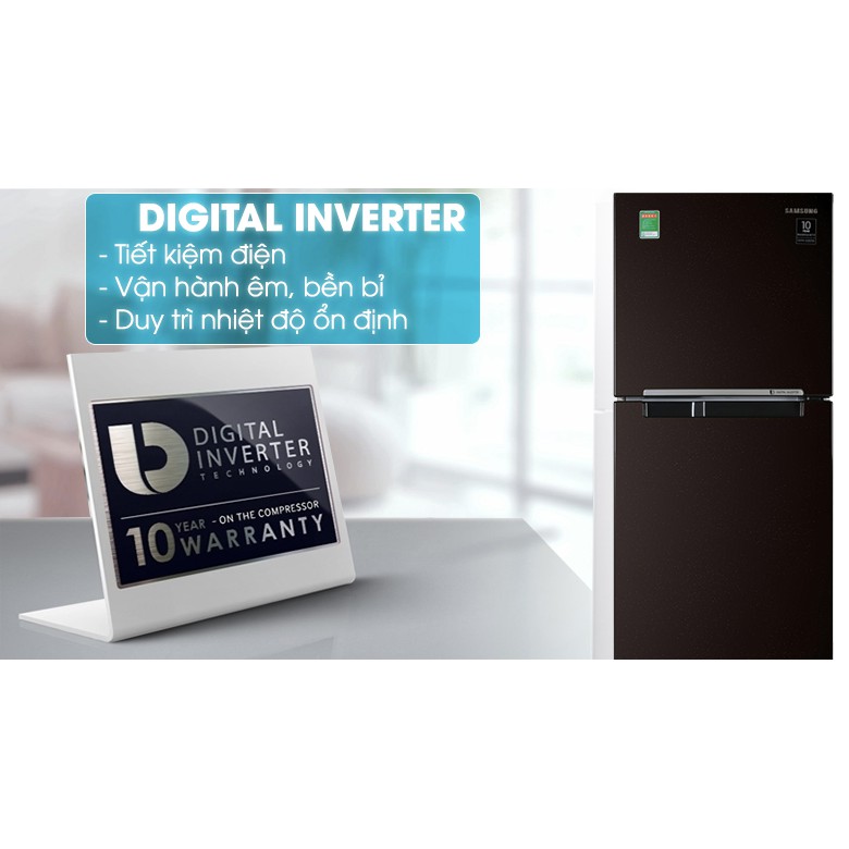 Tủ lạnh Samsung Inverter 236 lít RT22M4032BY/SV