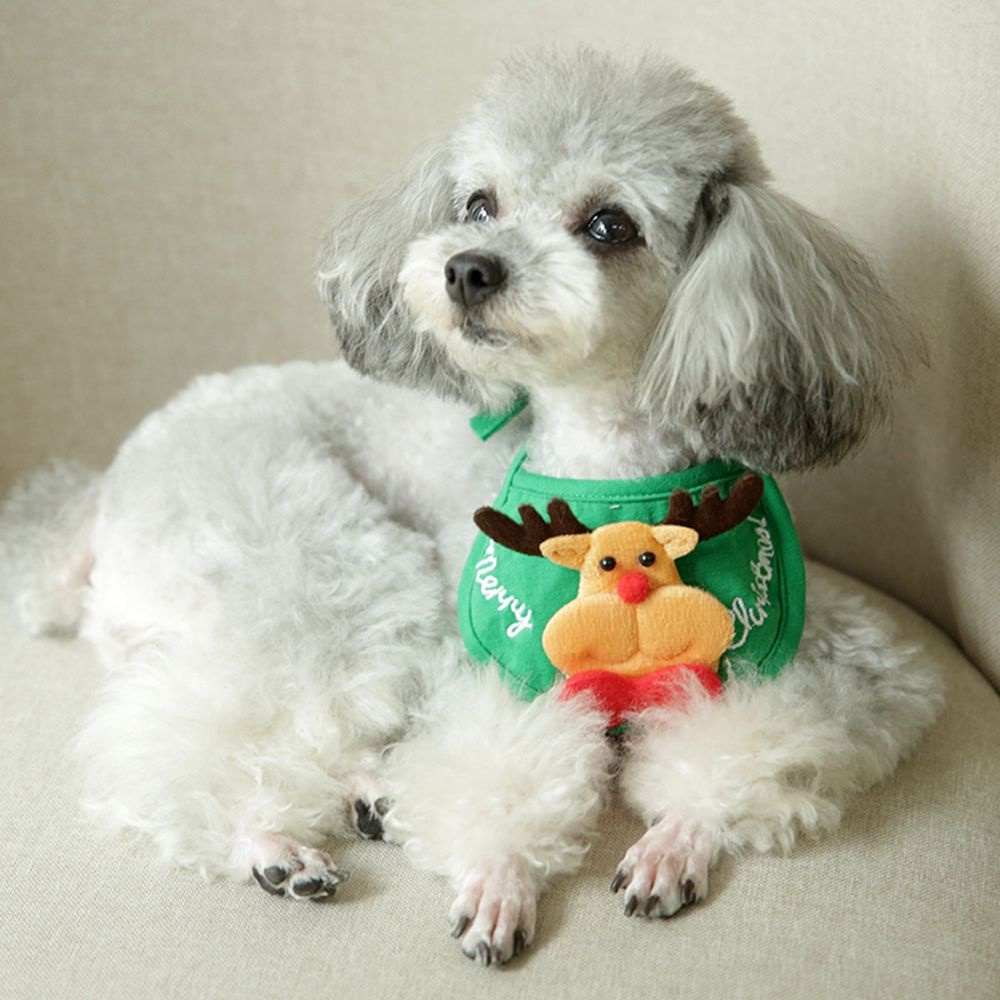 Bộ 3 phụ kiện giáng sinh cho chó Bulldog Pháp/Teddy mũ ông già noel + khăn choàng cổ hình tam giác tích hợp yếm