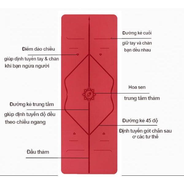 Thảm Yoga Tập Gym Định Tuyến 2 Lớp 6 - 8mm Chất Liệu Cao Su Non Dày Cao Cấp , Gấp Gọn , Du Lịch Tiện Lợi 88324 Shop Tong