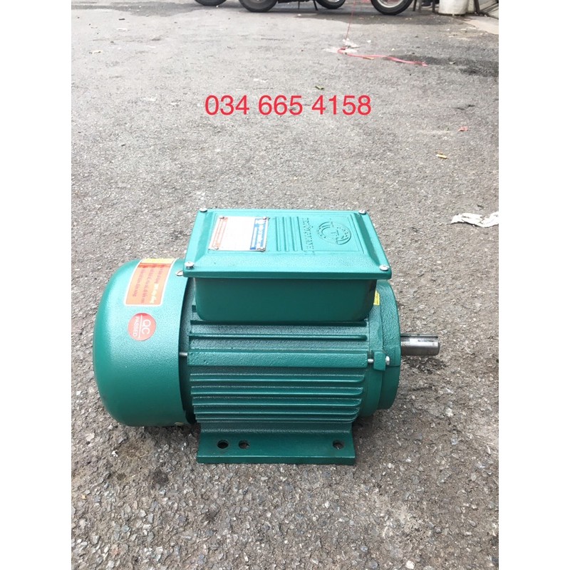 Mô tơ Động cơ điện 1 pha 3kw  2900 vòng phút Trường Mạnh hàng việt nam chất lượng cao (đồng hàn quốc 100%)