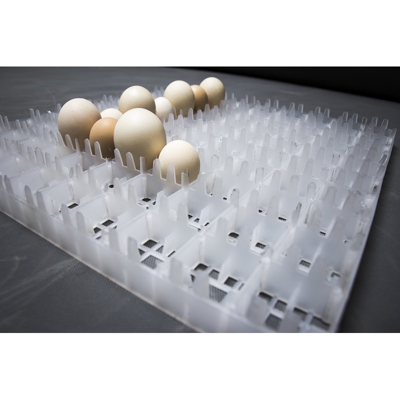 Máy ấp trứng Delta - H5 [500 trứng]