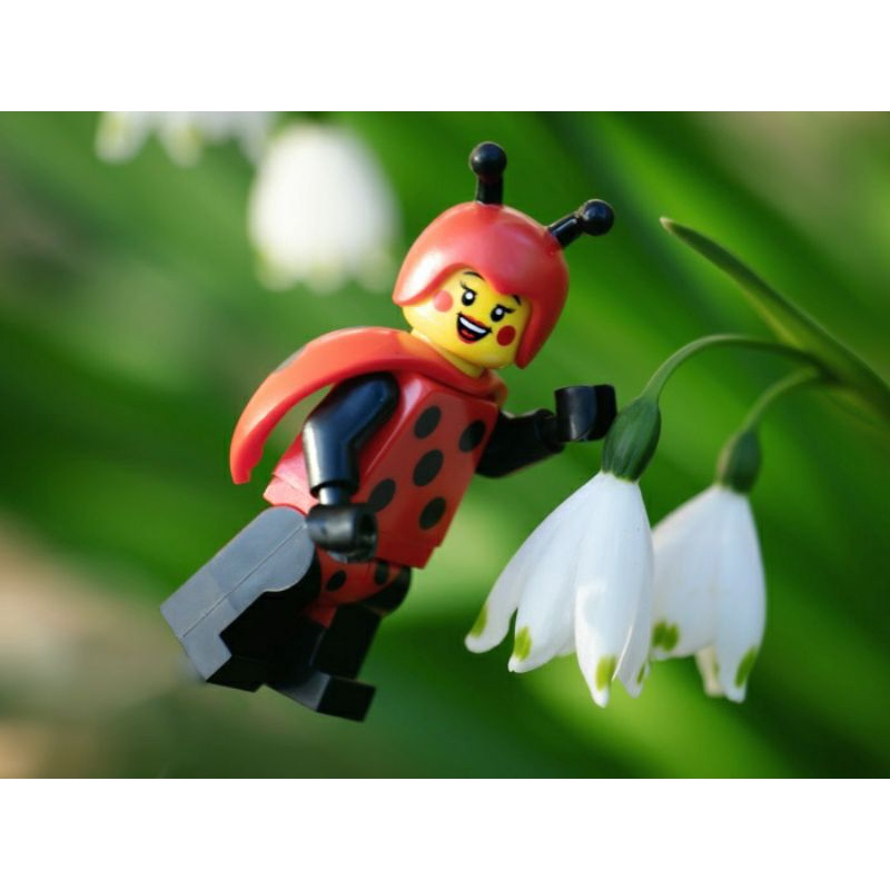 Nhân vật LEGO Minifigures Series 21 71029 Ladybug Girl - Cô gái với trang phục Bọ Rùa NEWSEAL