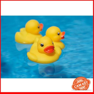 Đàn vịt thả bồn tắm set 4 cái