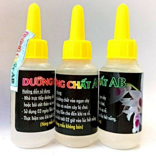 Dưỡng chất AB nuôi dưỡng mầm hoa lan