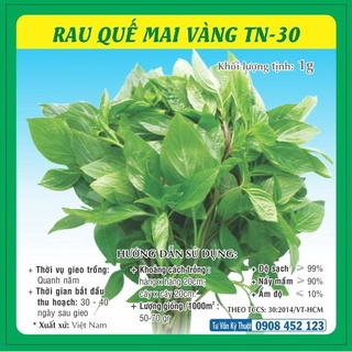 Hạt giống rau húng quế TN-30