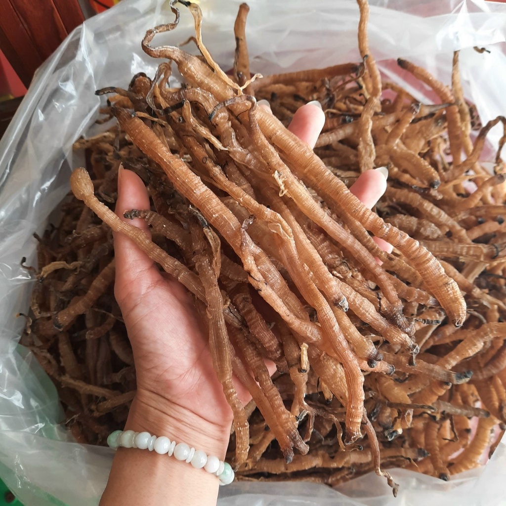 Sá Sùng Khô LOẠI 1 - Đặc Sản Sạch Nha Trang