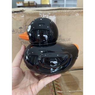 loa bluetooth có thể nghe FM