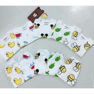 Bộ ong cater 5bo
