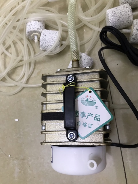 MÁY SỤC TẠO ÔXY CHO BỂ CÁ LOẠI 220V-50W CẢ BỘ