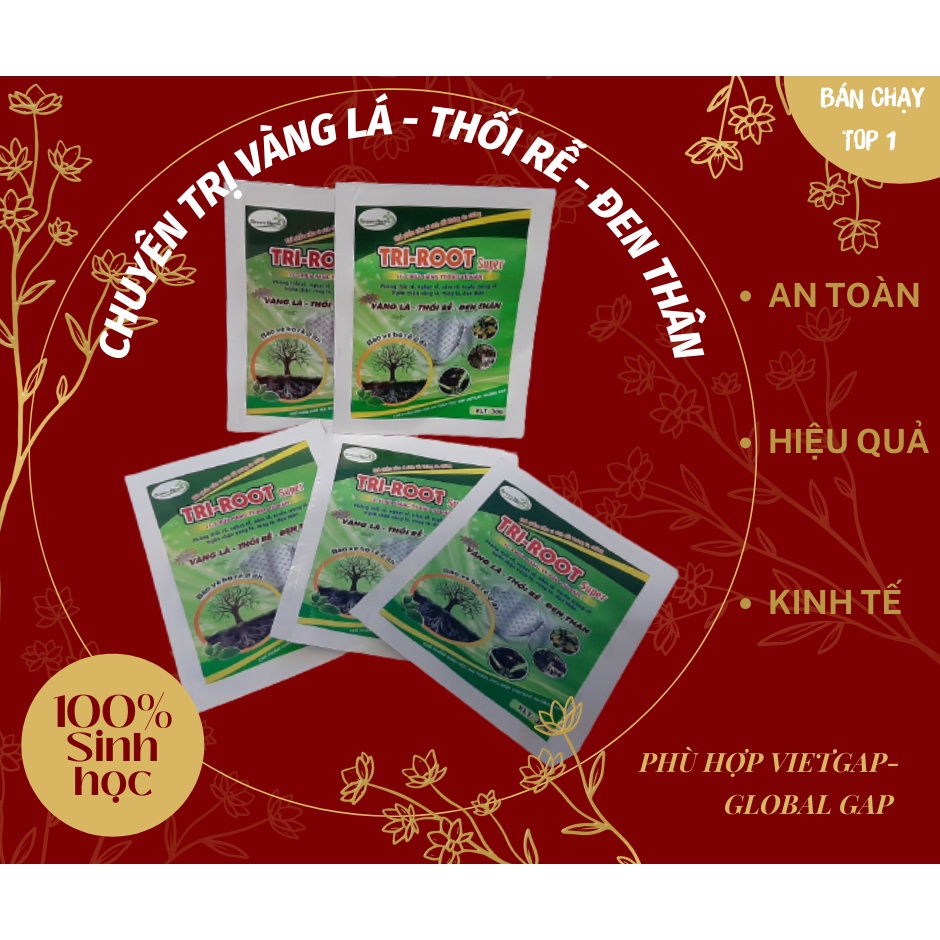 CHẾ PHẨM TRI-ROOT phòng trừ vàng lá, thối rễ, đen thân hữu hiệu