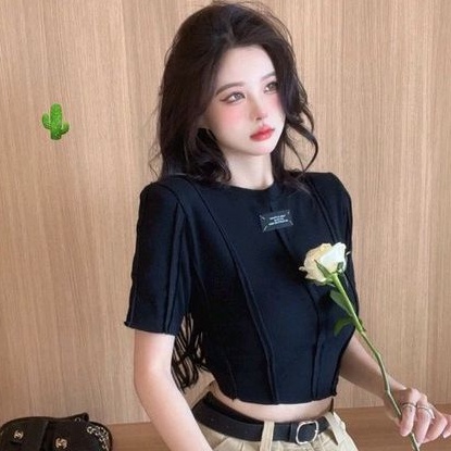 Áo thun nữ CROPTOP logo viền nổi cực xinh (PC)