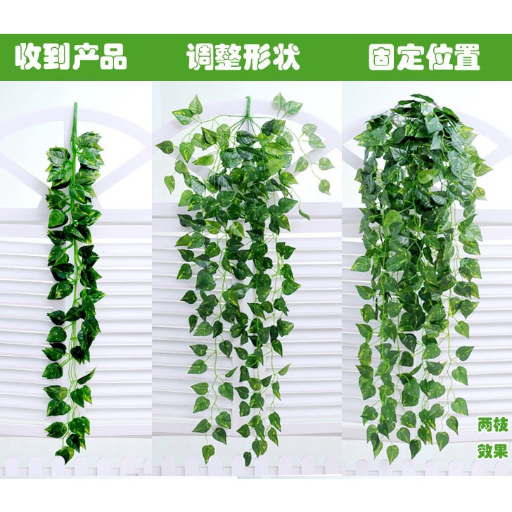 Dây Leo Hoa Thường Xuân Giả Dùng Trang Trí Nhà Cửa / Tiệc Cưới