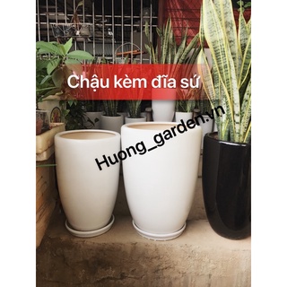 Chậu bom sứ Bát Tràng size đại kèm đĩa sứ