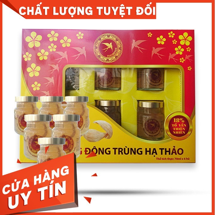 Nước yến Salanest chưng Saffron và 20% yến tươi cao cấp - Hộp tiết kiệm