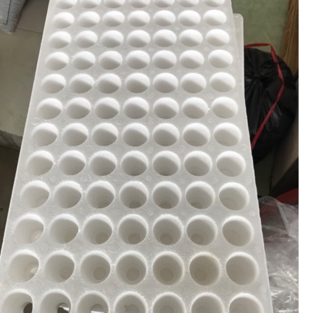 Khay xốp ươm hạt 84 lỗ