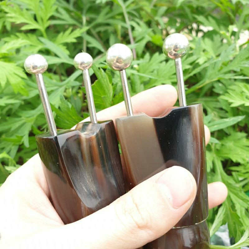 bọ cạp sừng đôi trung  bạc 10ly