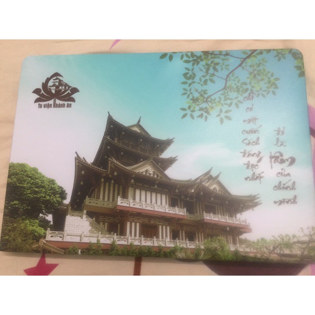 Decal laptop thiết kế theo yêu cầu BEE SHOP