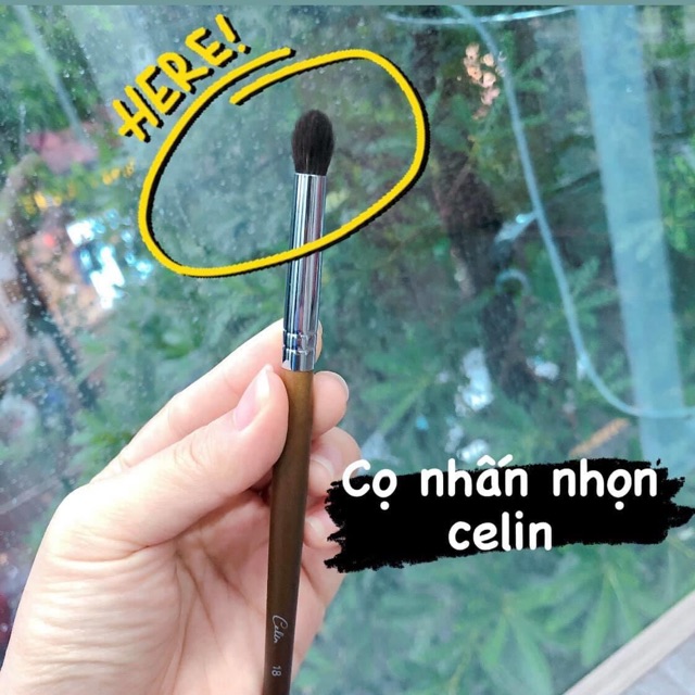 Cọ Lẻ Của Celin Các Loại