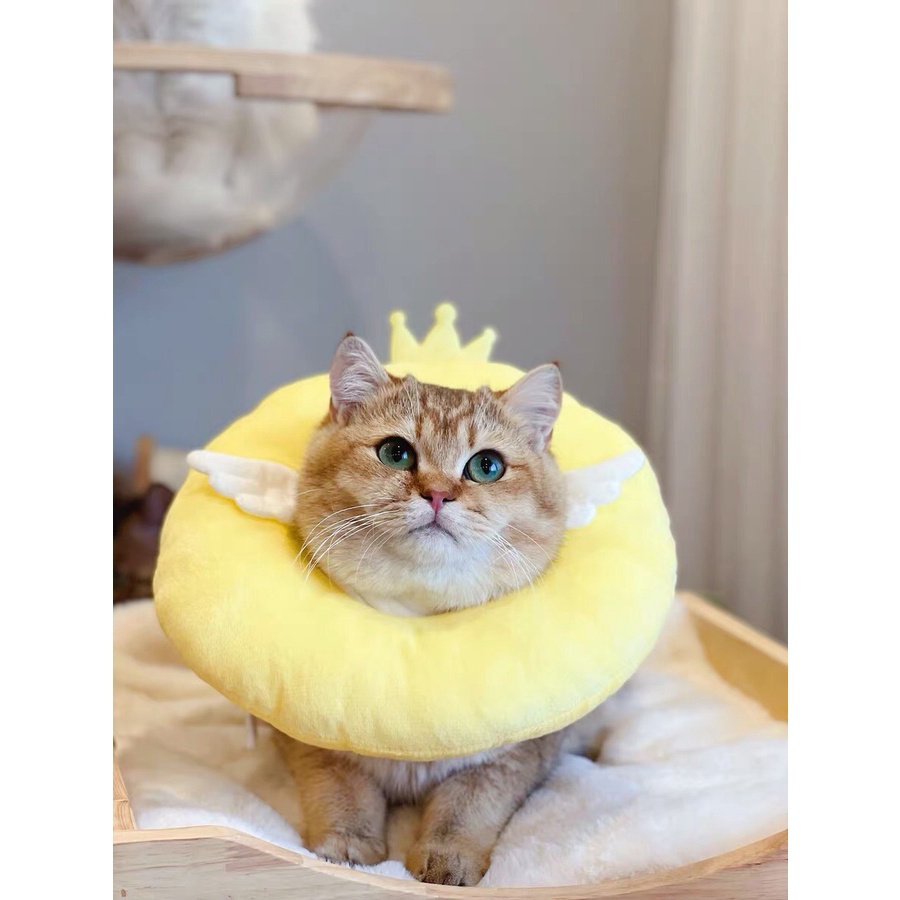 Vòng chống liếm cho chó mèo mẫu cánh thiên thần đáng yêu - 4pets official