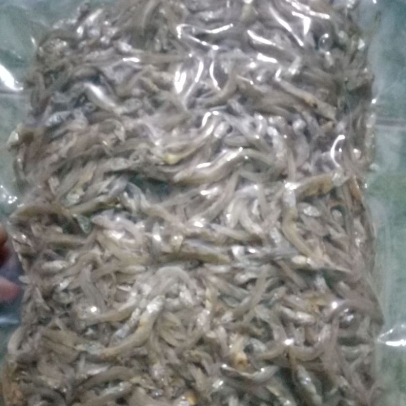 #cá cơm khô _đặt sản bình định
