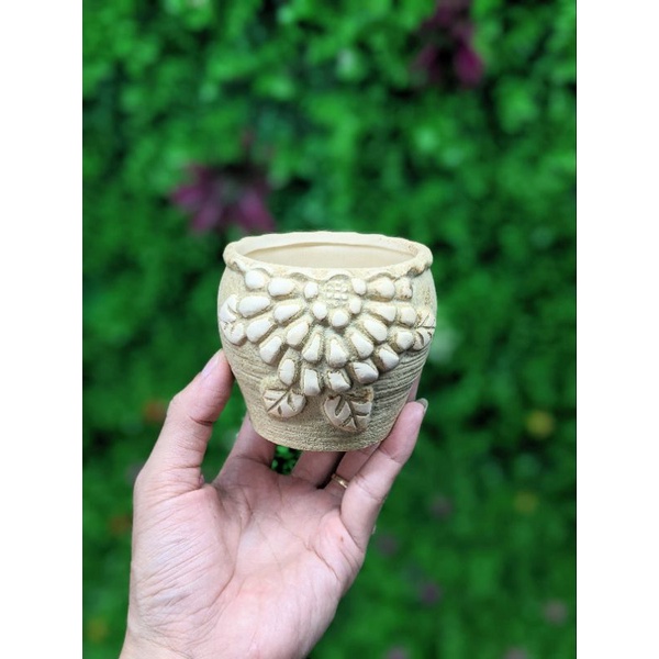 Chậu sứ giả cổ mini - dùng để trồng sen đá