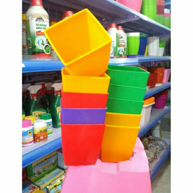 Combo 100 chậu vuông teen 9cm x 9cm
