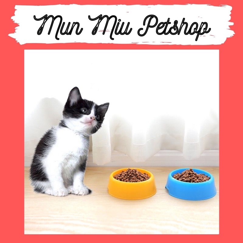 Bát ăn đơn cho chó mèo