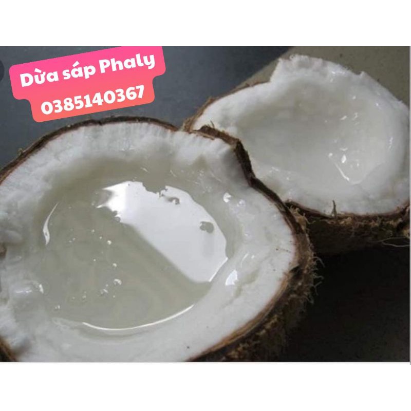 combo 2 trái DỪA SÁP