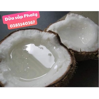 Combo 2 trái dừa sáp