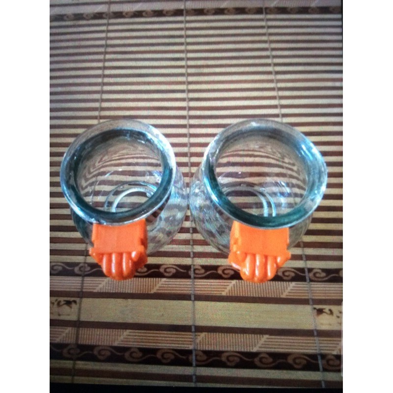 Cóng thủy tinh cho chim cảnh