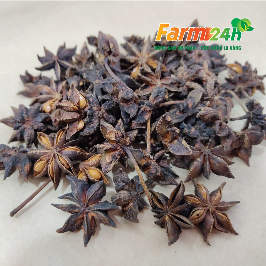 Hoa hồi Lạng Sơn, 100% tự nhiên, gia vị cho nhiều món ngon I Farm24h