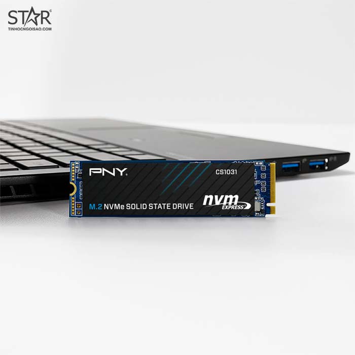 Ổ cứng SSD 256G PNY CS1031 NVMe PCIe Gen3x4 M.2 2280 (M280CS1031256CL)