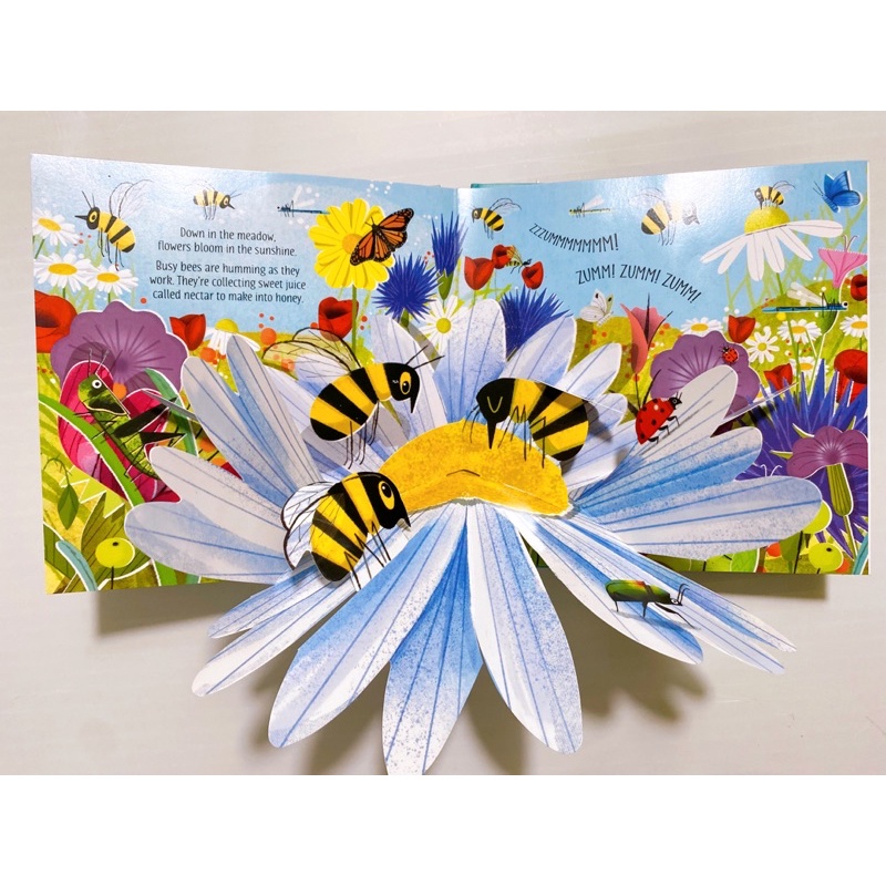 Quà Tặng Usborne Pop Up Season- Nature