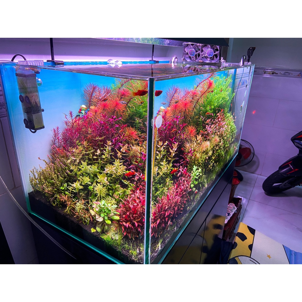 Đèn Thuỷ Sinh WRGB uvA 5054 SMD  - Magic Led Lighting