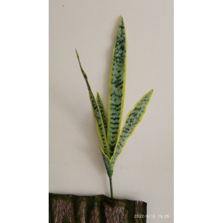 Cây Giả - Cây Lưỡi Hổ giả trang trí 50-75cm - decor siêu yêu-trang trí nhà cửa