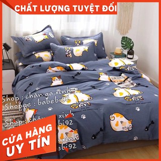 Set 5 Món Chăn Ga Gối Coton poly cao cấp nhiều mẫu mới