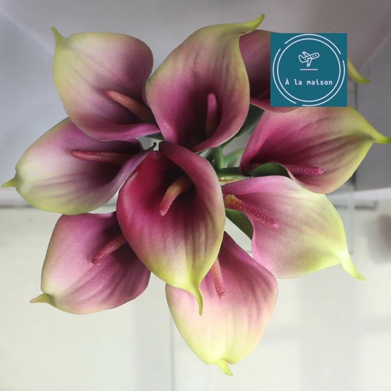 Cành hoa Calla lily loại 1 cao 33cm đẹp sang trọng, bằng PU, hoa cô dâu, hoa cưới, hoa decor trang trí