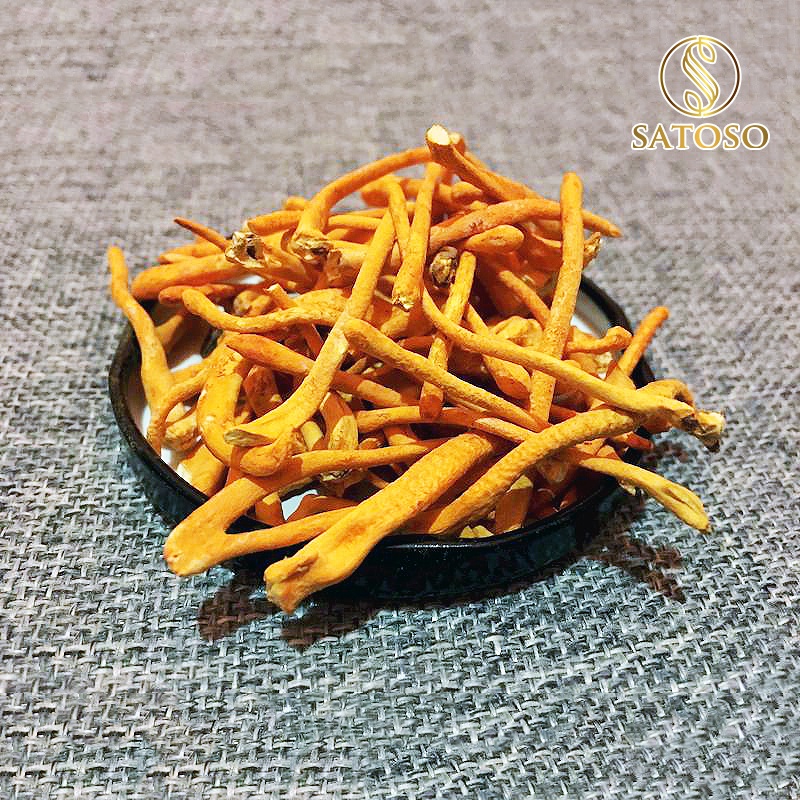 Đông trùng hạ thảo SATOSO 10g sấy thăng hoa SA002