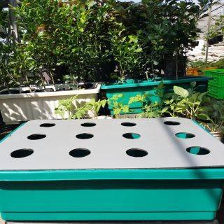 Chậu trồng rau thủy canh tĩnh bao gồm chậu, nắp và rọ