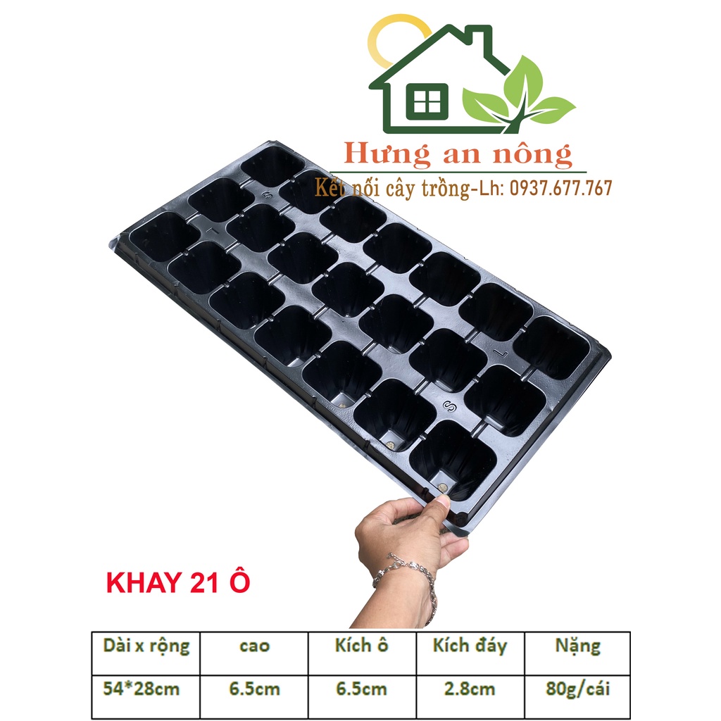 Khay vỉ ươm - Set 5/10 khay chữ nhật 21/32 Ô VUÔNG - dùng chứa chậu ươm trồng sen đá xương rồng cây cảnh, lan con