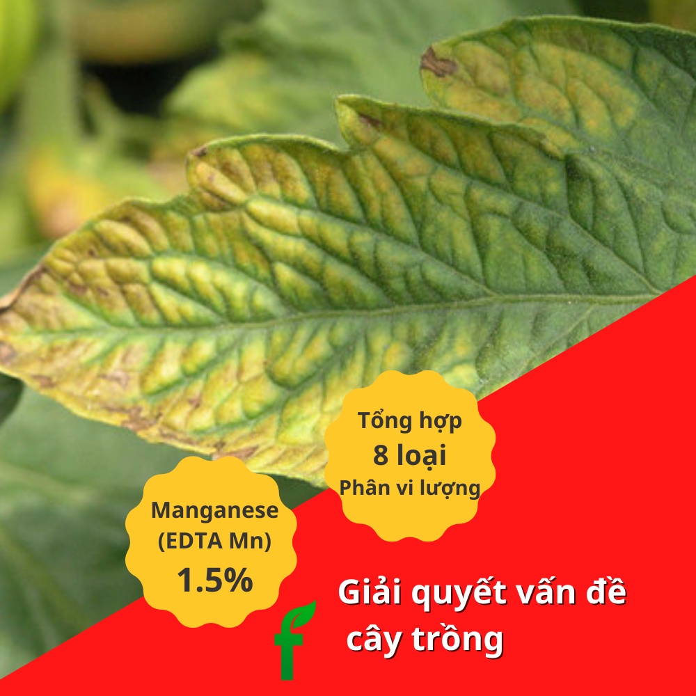 Phân bón vi lượng tổng hợp gói 5gram khắc phục vàng lá đốm đen bổ sung phân vi lượng Chelated EDTA chất lượng cho cây