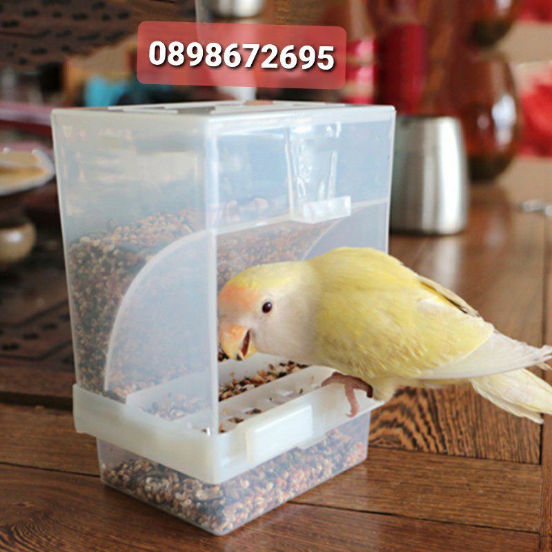 Máng ăn tự động cho chim yến.yến phụng.và các loại chim