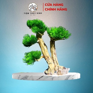 Lũa bonsai thủy sinh, layout bonsai trang trí bể cá, cây bonsai setup bể thuỷ sinh mini