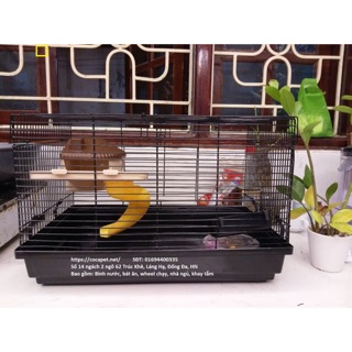 Lồng hamster size to cực đại 47 x 30 x 30