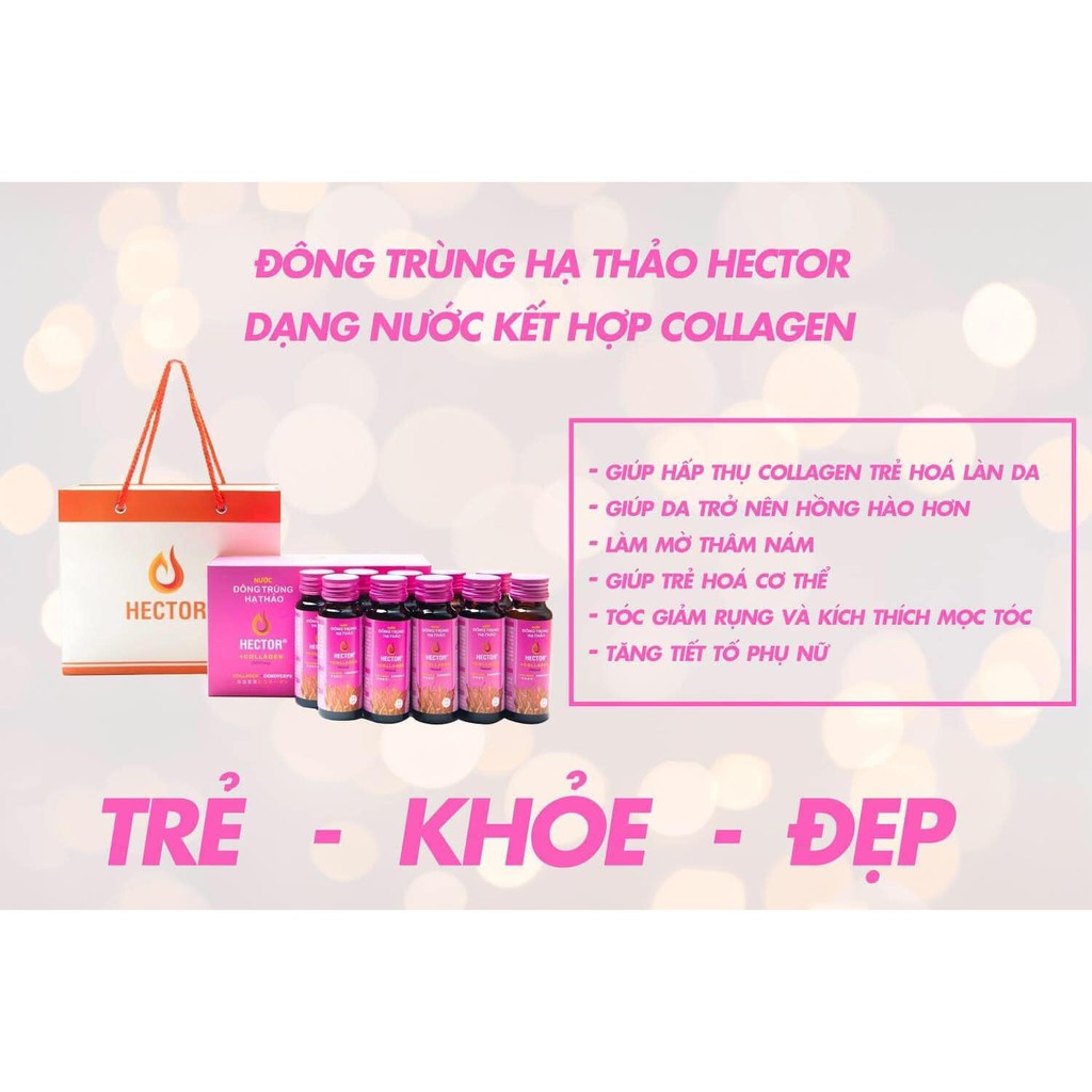 ( CHÍNH HÃNG ) Nước Collagen Đông Trùng Hạ Thảo Hector  Hộp / 10 Chai / 50ml