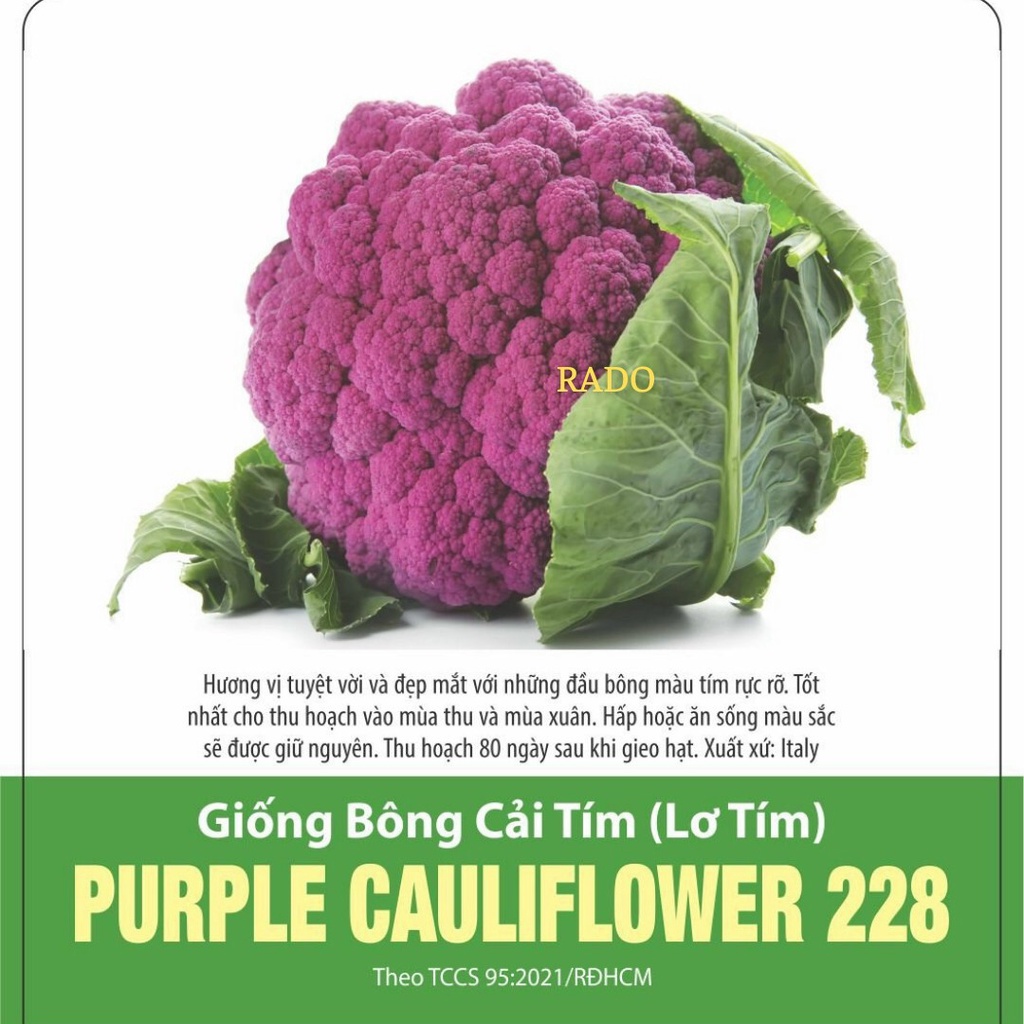 Hạt giống súp lơ tím  RD228, đóng gói 1gr
