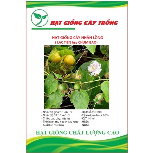 Hạt giống cây nhãn lồng  CT66 - Gói 30 hạt