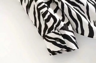 Áo sơ mi ngựa vằn zara