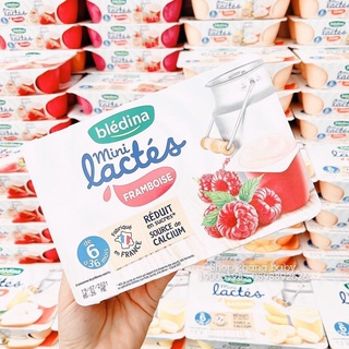 Sữa chua Bledina Pháp 6h*60gram