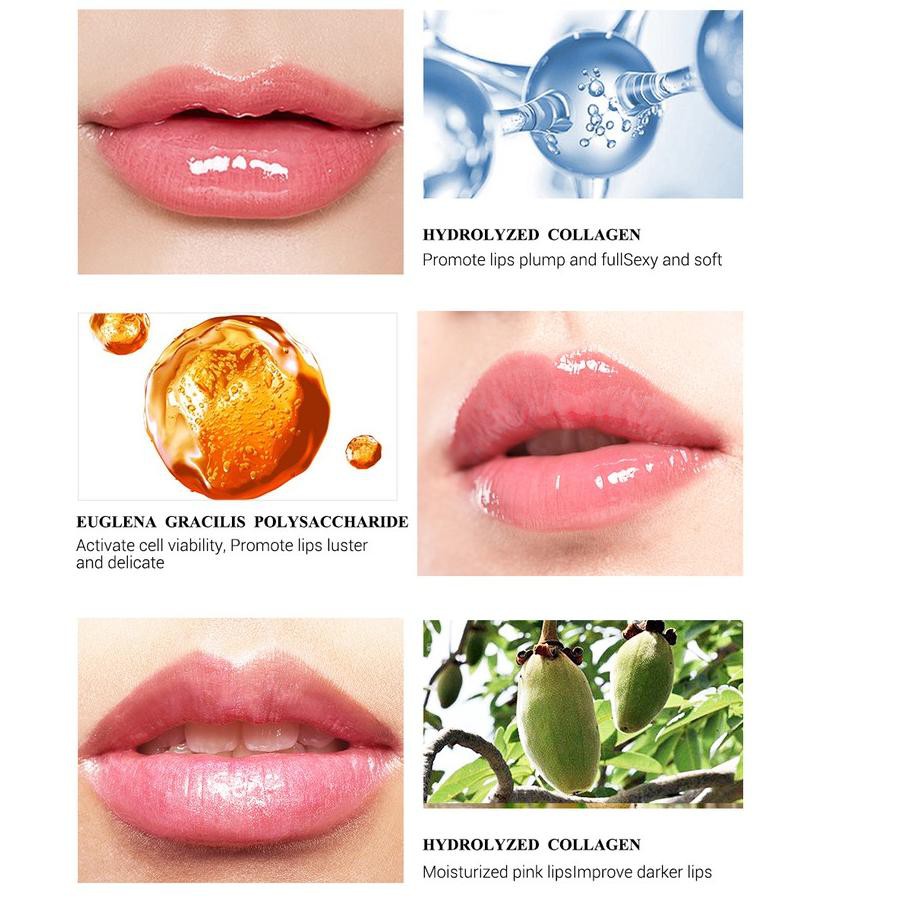 (Hàng Mới Về) Serum Dưỡng Môi Lanbena 88.id Giúp Tăng Cường Độ Đàn Hồi | BigBuy360 - bigbuy360.vn